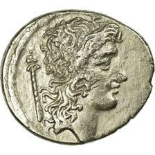 Coin, Cassia, Denarius, Roma, AU(55-58), Silver