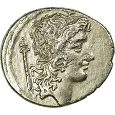 Münze, Cassia, Denarius, Roma, VZ, Silber