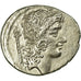 Münze, Cassia, Denarius, Roma, VZ, Silber