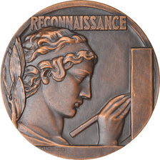 France, Medal, Les Donneurs de sang de Vannes, Reconnaissance, 1987, Delannoy