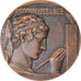 France, Medal, Les Donneurs de sang de Vannes, Reconnaissance, 1987, Delannoy