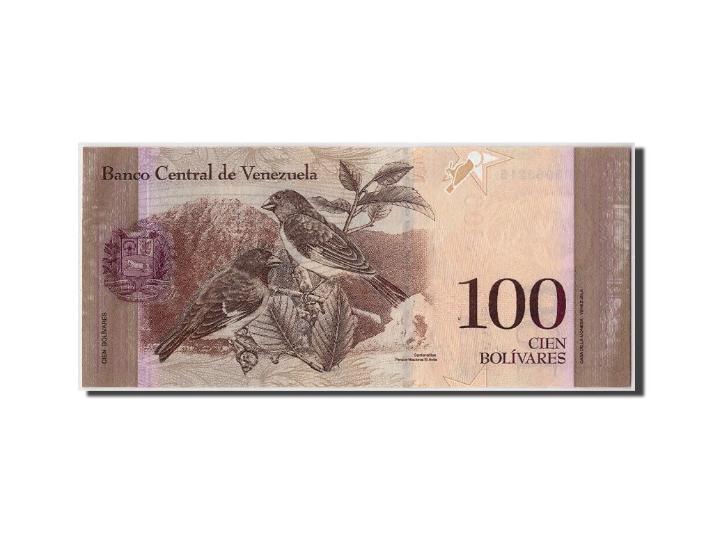 Venezuela, 100 Bolivares, 2012, KM:New, 2012-01-31, UNC(65-70)