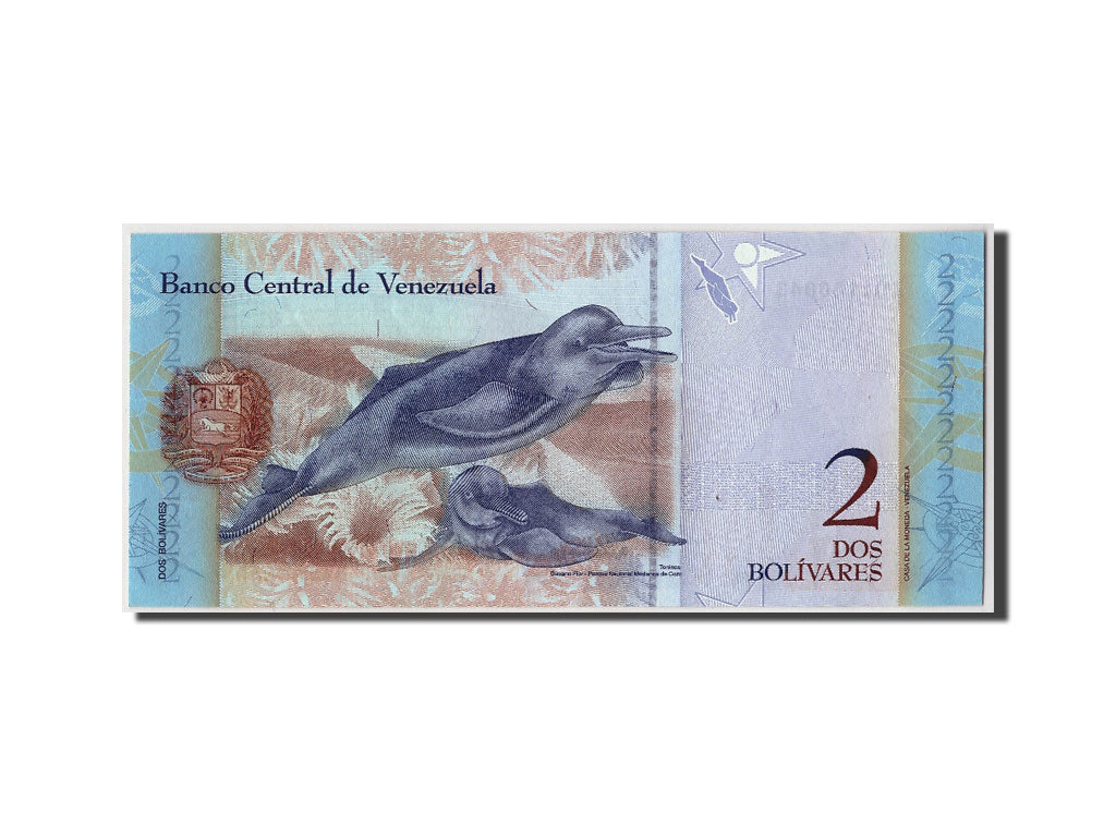 Venezuela, 2 Bolivares, 2007, KM:88b, 2007-05-24, UNC(65-70)