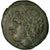 Coin, SICILIA, Syracuse, Zeus, Litra, Syracuse, AU(50-53), Bronze