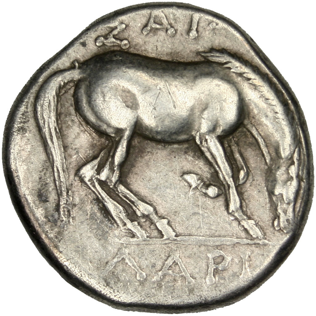 Thessaly, Larissa, Kyme, Amazon, Drachm, Larissa, AU(50-53), Silver, 6.02