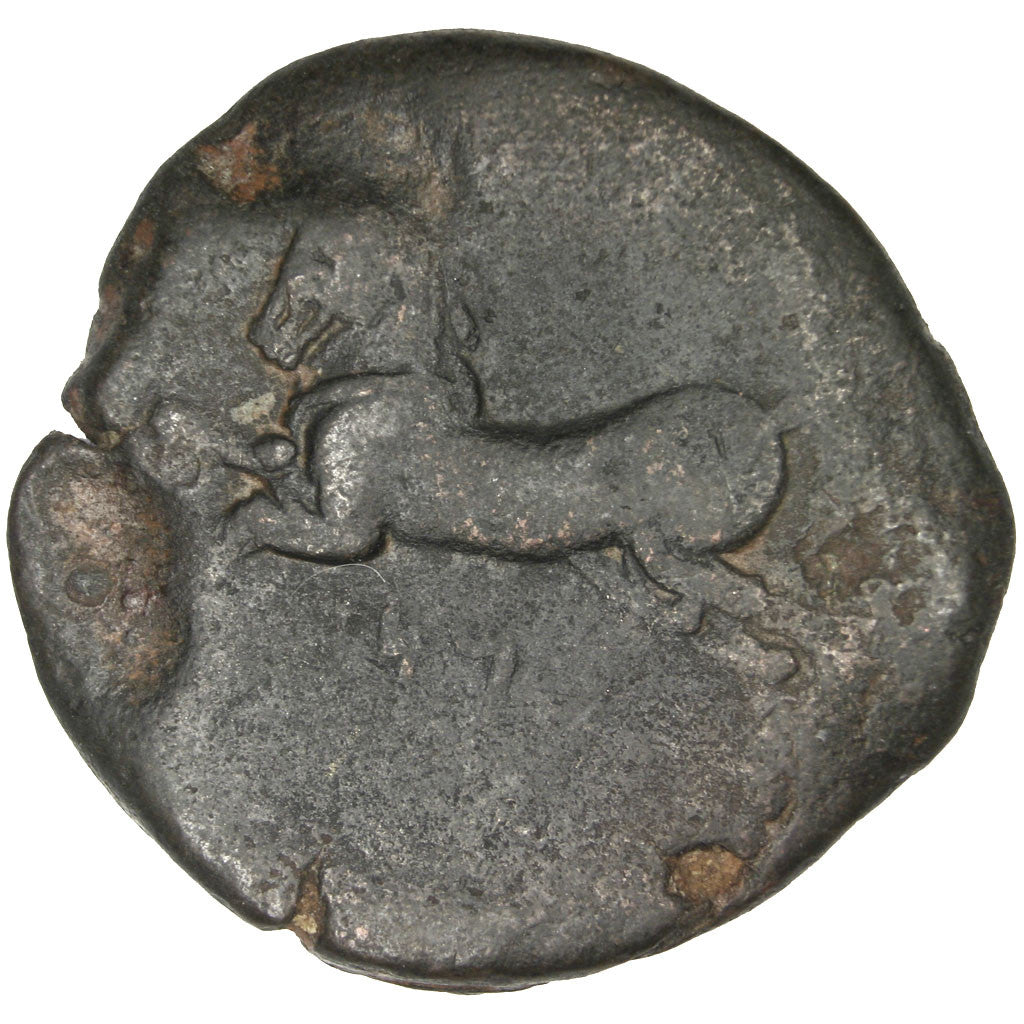 Numidia (Kingdom of), Massinissa or Micipsa, Bronze, EF(40-45), Bronze, 13.11