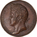 France, Medal, Naissance de Louis Philippe Albert, Comte de Paris, History