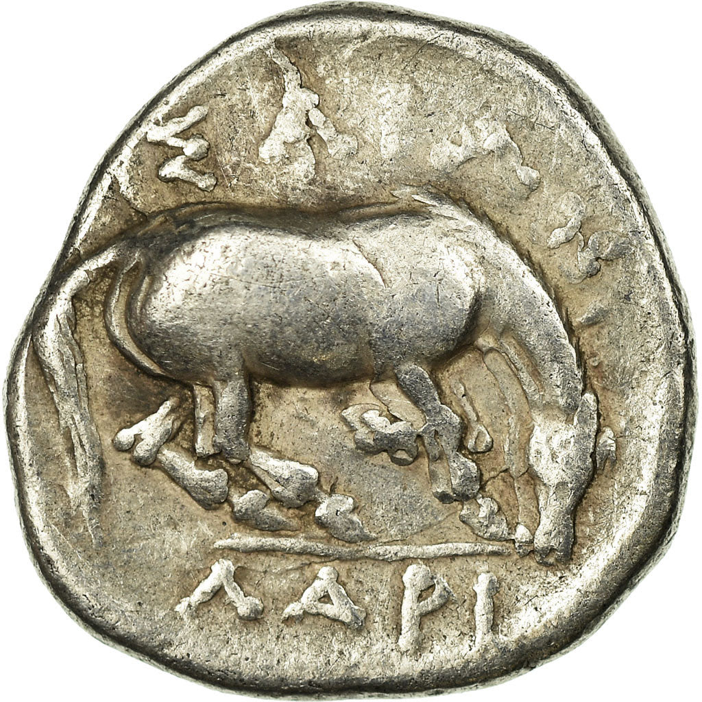 Coin, Thessaly, Larissa, Kyme, Amazon, Drachm, Larissa, EF(40-45), Silver