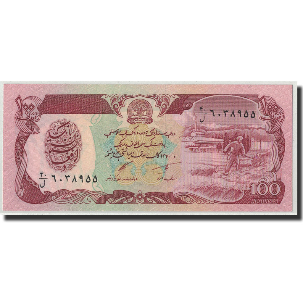 Billet, Afghanistan, 100 Afghanis, SH1370 (1991), KM:58c, NEUF