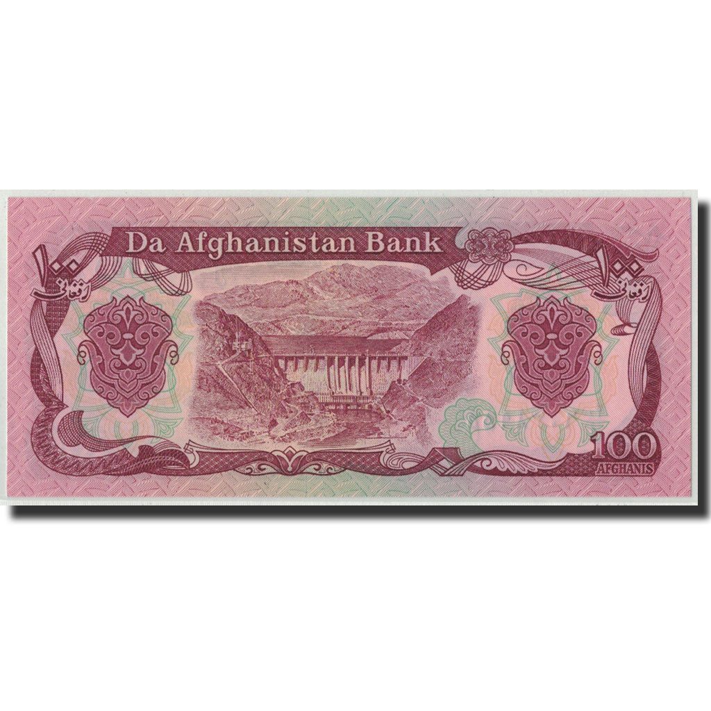 Billet, Afghanistan, 100 Afghanis, SH1370 (1991), KM:58c, NEUF