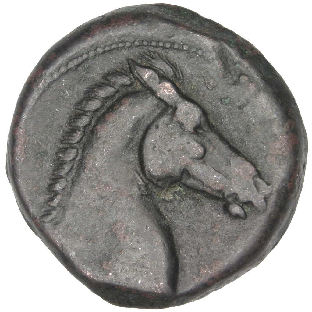 Carthage, Zeugitane, Shekel, Carthage, EF(40-45), Copper, 5.17
