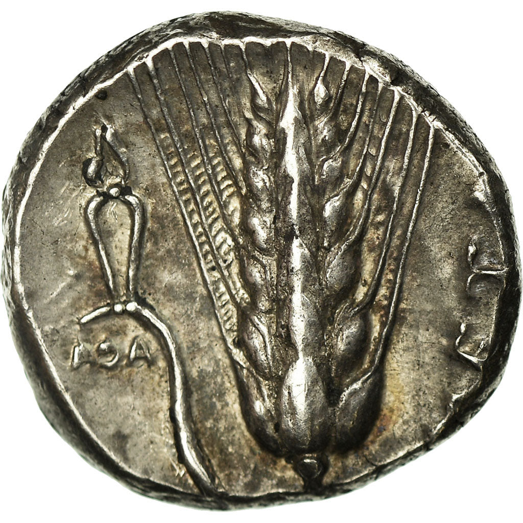 Moneta, Lucania, Demeter, Metapontion, Didrachm, Metapontion, SPL-, Argento