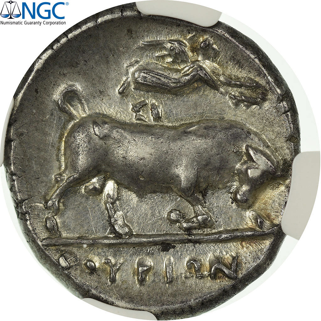 Coin, Lucania, Thourioi, Athena, Stater, Thourioi, graded, NGC, Ch AU*