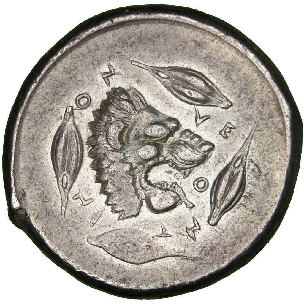 Coin, Sicily, Leontini, Apollo, Tetradrachm, AU(50-53), Silver, HGC:2-667