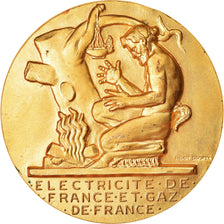 Frankrijk, Medaille, Électricité de France et gaz de France, Dropsy, PR, Gilt