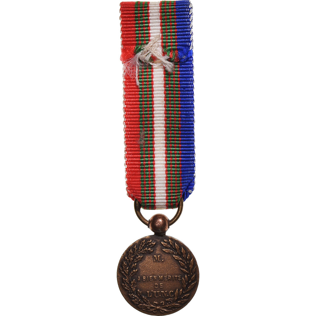 France, Union Nationale des Combattants, WAR, Medal, Réduction, Uncirculated