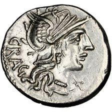 Antestia, Denarius, Roma, graded, NGC, MS(63), Silver, 3.95