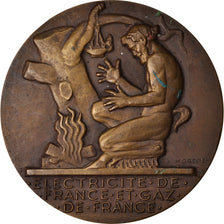 Frankrijk, Medaille, Électricité de France et gaz de France, Dropsy, PR