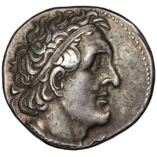 Royaume d'Égypte, Ptolémée Ier Soter, Tétradrachme