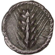 Lucania, Metaponto, Triobol, Metapontion, AU(50-53), Silver, 1.00
