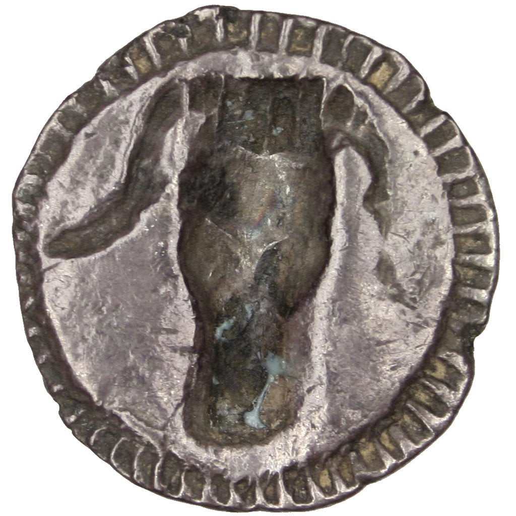 Lucania, Metaponto, Triobol, Metapontion, AU(50-53), Silver, 1.00