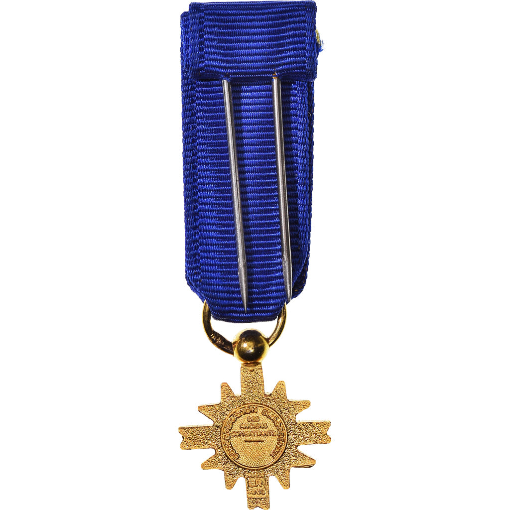 France, Confédération européenne des Anciens Combattants, Medal, Réduction