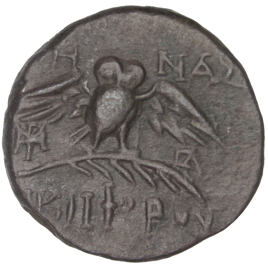 Mysia, Pergamon, Athena, Bronze, Pergamon, AU(50-53), Bronze, 2.85