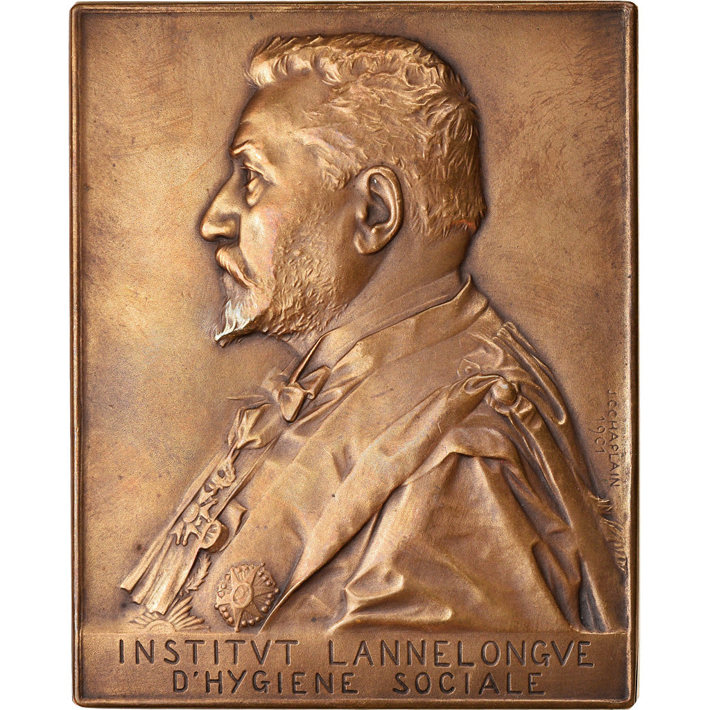 França, Medal, Institut Lannelongue d'Hygiène Sociale, Medicina, 1901