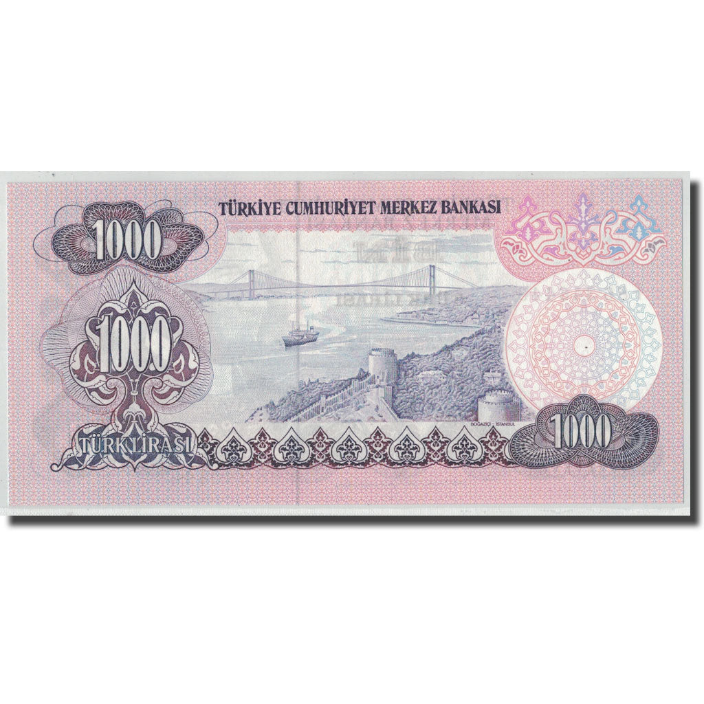 Banknote, Turkey, 1000 Lira, L.1970, 1970-01-26, KM:191, UNC(63)