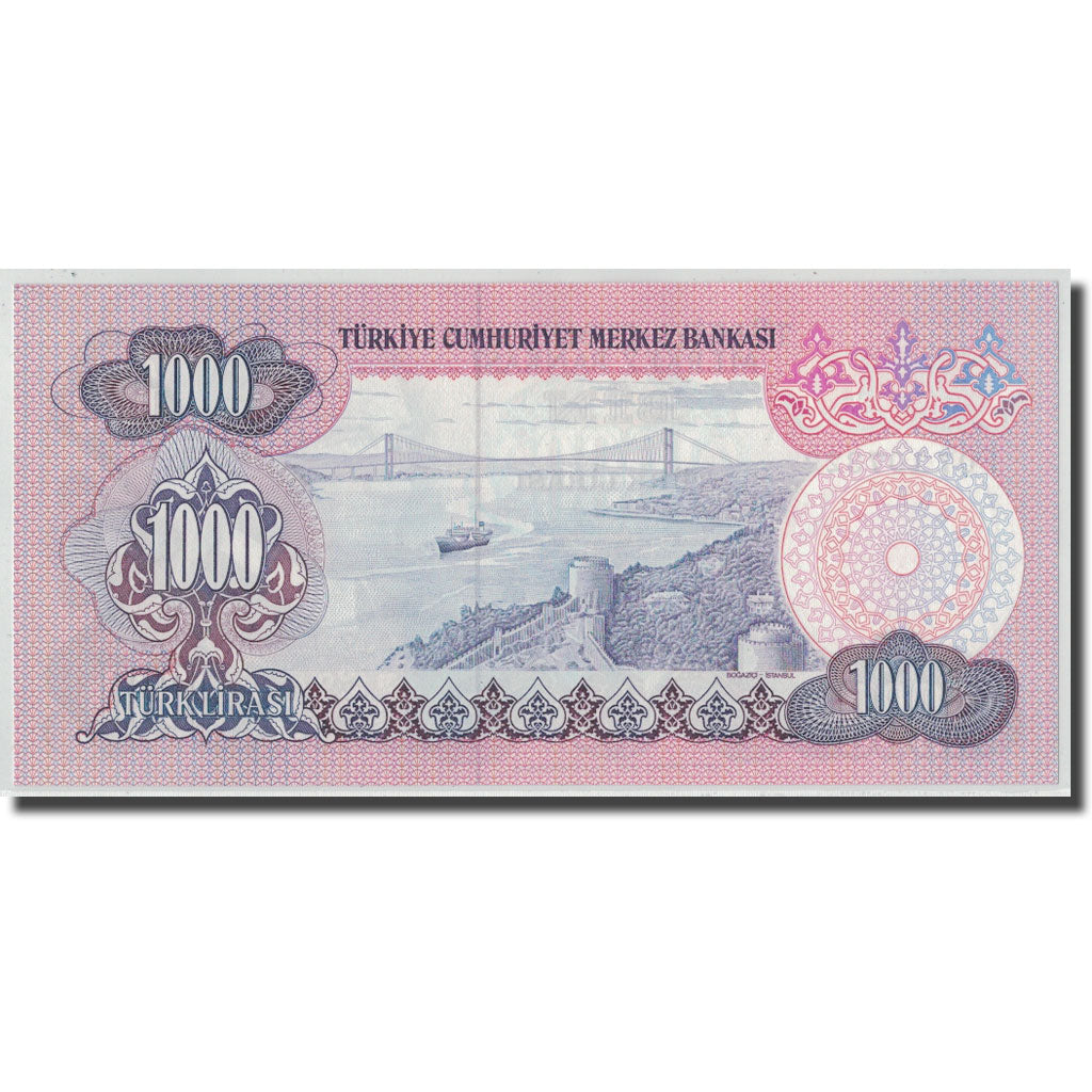 Banknote, Turkey, 1000 Lira, L.1970, 1970-01-26, KM:191, UNC(63)