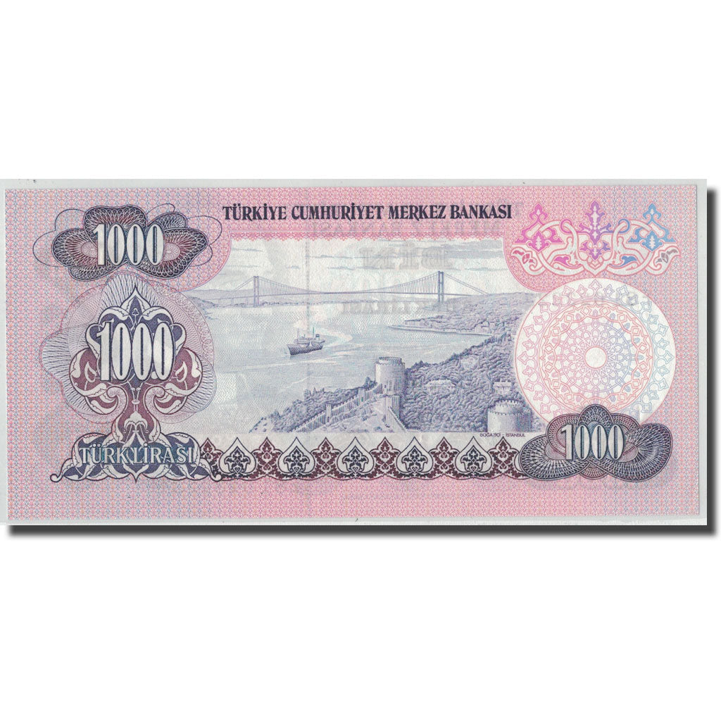 Banknote, Turkey, 1000 Lira, L.1970, 1970-01-26, KM:191, UNC(63)