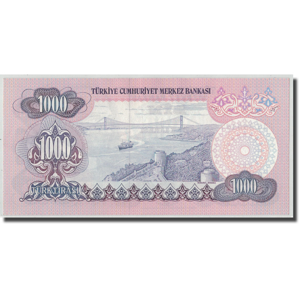 Banknote, Turkey, 1000 Lira, L.1970, 1970-01-14, KM:191, UNC(63)