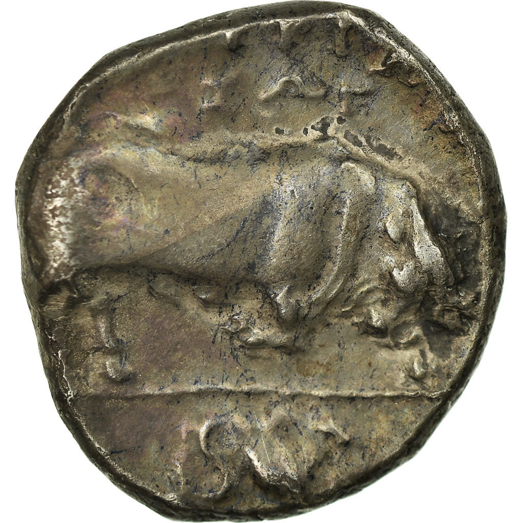 Coin, Lucania, Thourioi, Athena, Stater, Thourioi, AU(50-53), Silver