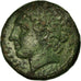 Coin, SICILIA, Syracuse, Zeus, Litra, Syracuse, AU(50-53), Bronze