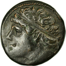 Moneta, SICILIA, Syracuse, Hieron II, Double Litra, Syracuse, EF(40-45), Bronze