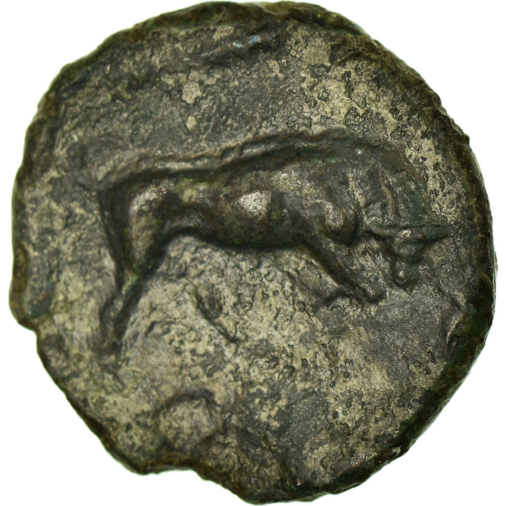 Coin, SICILIA, Syracuse, Persephone, Litra, Syracuse, EF(40-45), Bronze
