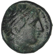 Monnaie, Royaume de Macedoine, Philippe II (359-336 BC), Apollo, Bronze