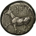 Coin, Thrace, Thasos, Siglos, AU(50-53), Silver