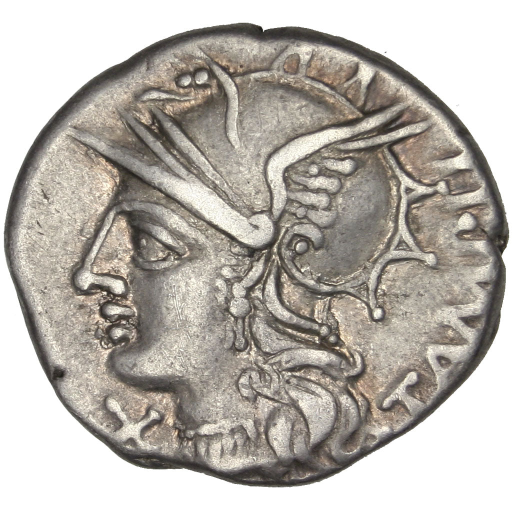Baebia, Denarius, Roma, AU(50-53), Silver, 3.83