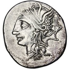 Appuleia, Denarius, Roma, BB+, Argento