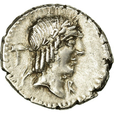 Coin, Calpurnia, Denarius, Roma, AU(55-58), Silver