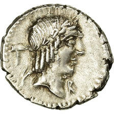 Monnaie, Calpurnia, Denier, Roma, SUP, Argent