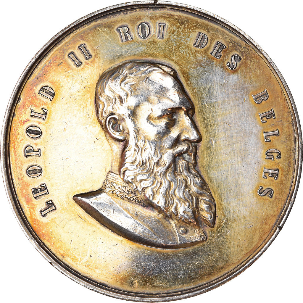 Belgium, Medal, Léopold II, Exposition Internationale de Bruxelles, 1904, Fish