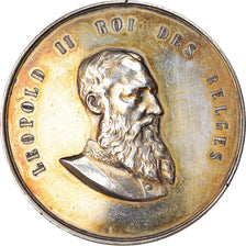 Belgium, Medal, Léopold II, Exposition Internationale de Bruxelles, 1904, Fish