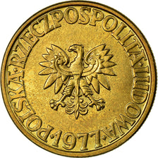 Monnaie, Pologne, 5 Zlotych, 1977, Warsaw, SUP+, Laiton, KM:81.1