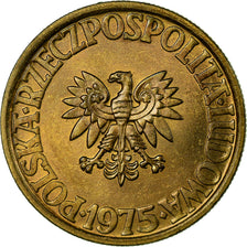 Coin, Poland, 5 Zlotych, 1975, Warsaw, MS(63), Brass, KM:81.1