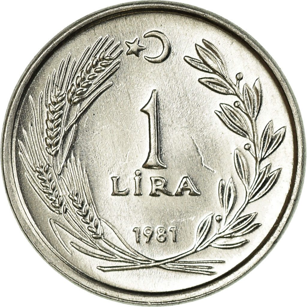 Moeda, Turquia, Lira, 1981, MS(63), Alumínio, KM:943