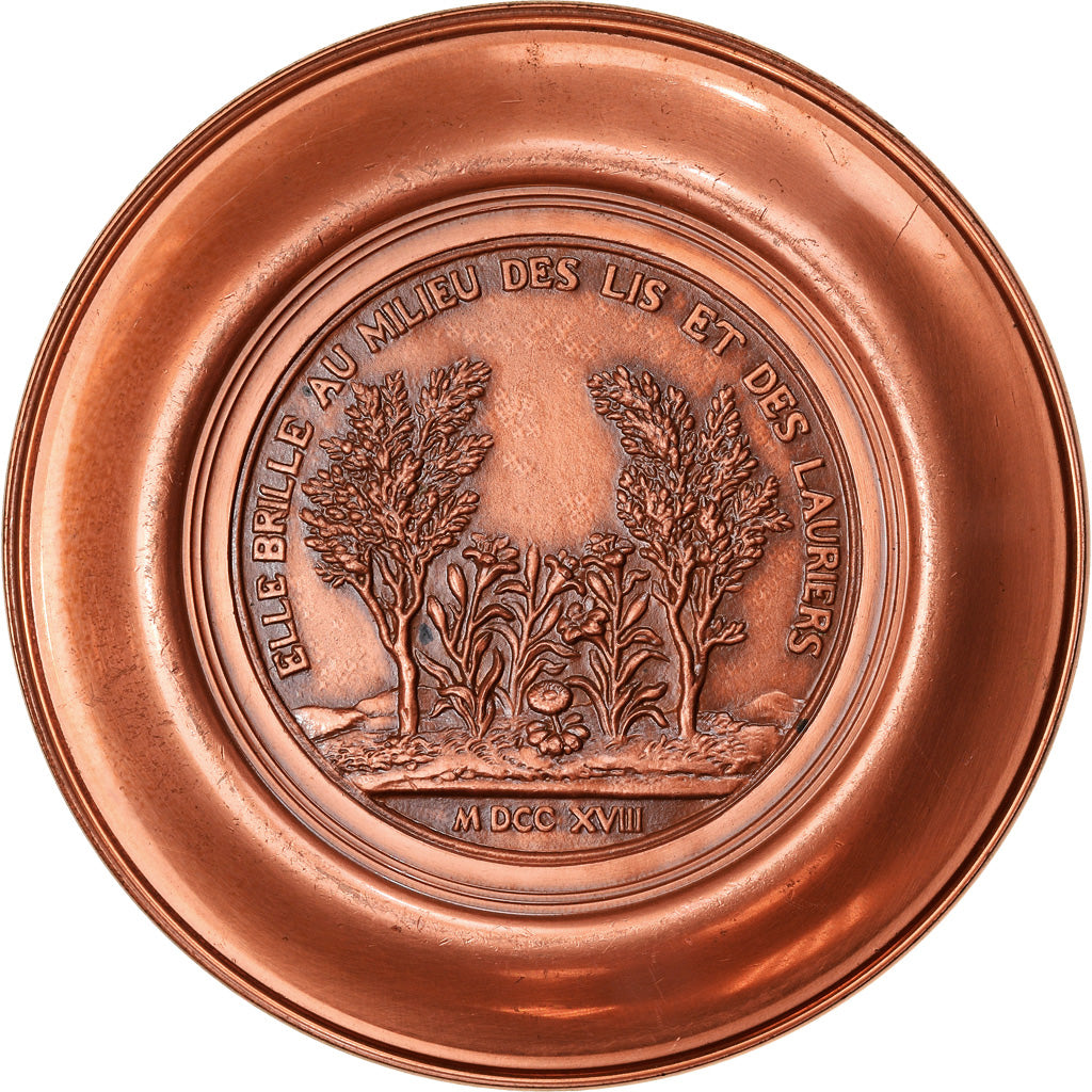 France, Medal, Marguerite, Reine de Navarre, History, 1972, Cure, MS(63), Copper