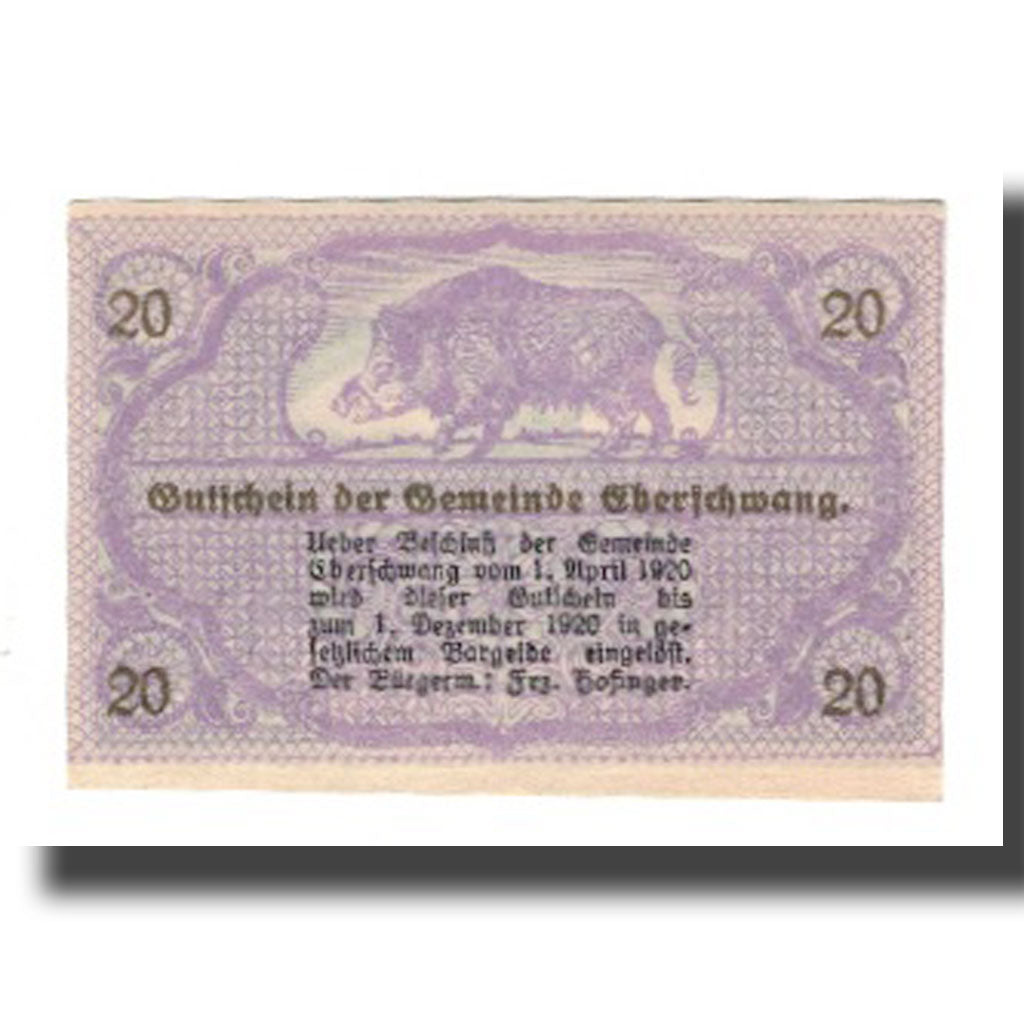 Banknote, Austria, Eberschwang O.Ö. Gemeinde, 20 Heller, Texte, 1920