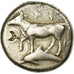 Coin, Thrace, Byzantion, Drachm, Byzantium, EF(40-45), Silver